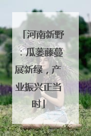 河南新野：瓜蒌藤蔓展新绿，产业振兴正当时
