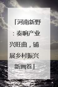河南新野：奏响产业兴旺曲，铺展乡村振兴新画卷