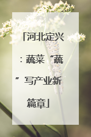 河北定兴：蔬菜“蔬”写产业新篇章