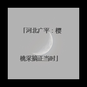 河北广平：樱桃采摘正当时