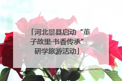 河北景县启动“董子故里·书香传承”研学旅游活动
