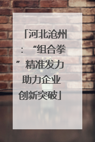河北沧州：“组合拳”精准发力 助力企业创新突破