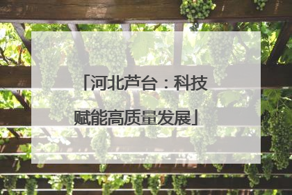 河北芦台：科技赋能高质量发展