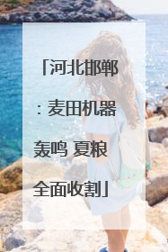 河北邯郸：麦田机器轰鸣 夏粮全面收割