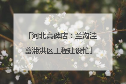 河北高碑店：兰沟洼蓄滞洪区工程建设忙