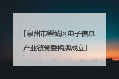 泉州市鲤城区电子信息产业链党委揭牌成立
