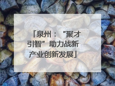 泉州：“聚才引智”助力战新产业创新发展