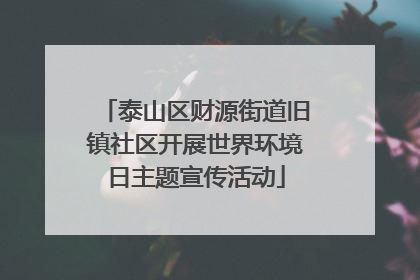 泰山区财源街道旧镇社区开展世界环境日主题宣传活动