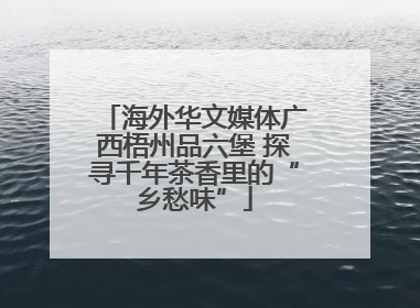 海外华文媒体广西梧州品六堡 探寻千年茶香里的“乡愁味”