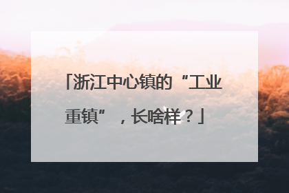 浙江中心镇的“工业重镇”，长啥样？