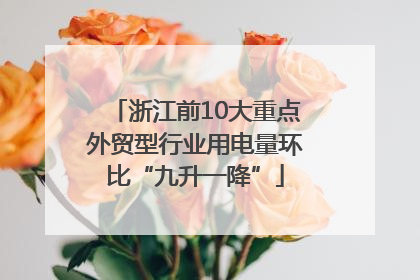 浙江前10大重点外贸型行业用电量环比“九升一降”