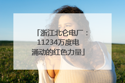 浙江北仑电厂：11234万度电涌动的红色力量