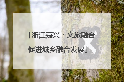 浙江嘉兴：文旅融合促进城乡融合发展