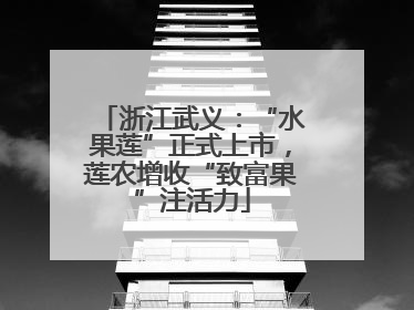 浙江武义：“水果莲”正式上市，莲农增收“致富果”注活力