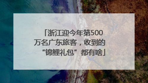 浙江迎今年第500万名广东旅客，收到的“锦鲤礼包”都有啥