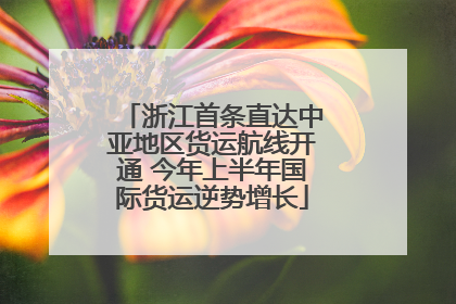 浙江首条直达中亚地区货运航线开通 今年上半年国际货运逆势增长