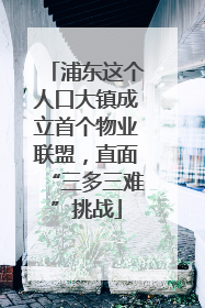 浦东这个人口大镇成立首个物业联盟，直面“三多三难”挑战