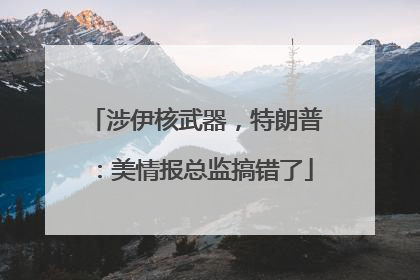 涉伊核武器，特朗普：美情报总监搞错了