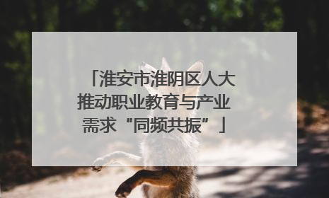 淮安市淮阴区人大推动职业教育与产业需求“同频共振”