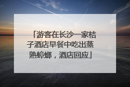 游客在长沙一家桔子酒店早餐中吃出蒸熟蟑螂，酒店回应