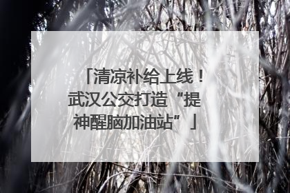 清凉补给上线！武汉公交打造“提神醒脑加油站”