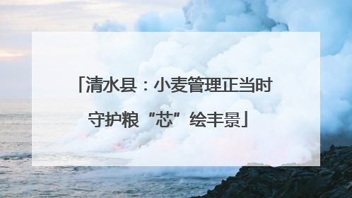 清水县：小麦管理正当时 守护粮“芯”绘丰景