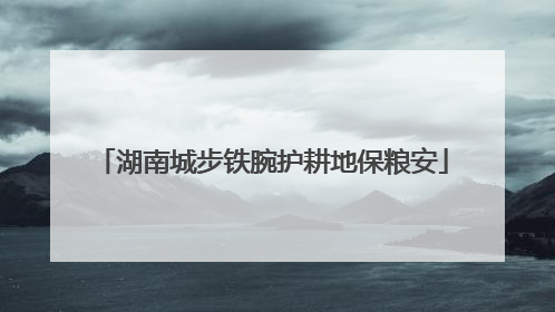 湖南城步铁腕护耕地保粮安