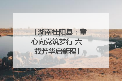 湖南桂阳县：童心向党筑梦行 六载芳华启新程