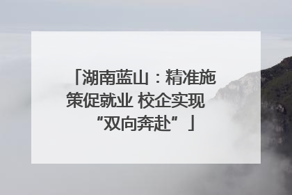 湖南蓝山：精准施策促就业 校企实现“双向奔赴”