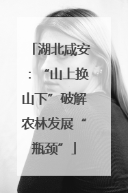 湖北咸安：“山上换山下”破解农林发展“瓶颈”