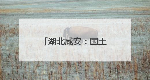 湖北咸安：国土综合整治助力打造现代农业高地
