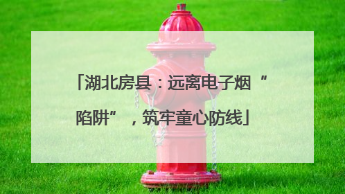 湖北房县：远离电子烟“陷阱”，筑牢童心防线