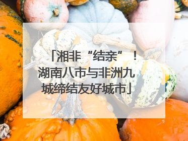 湘非“结亲”！湖南八市与非洲九城缔结友好城市