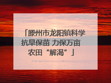 滕州市龙阳镇科学抗旱保苗 力保万亩农田“解渴”