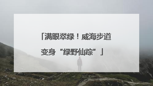 满眼翠绿！威海步道变身“绿野仙踪”
