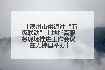 滨州市供销社“五级联动”土地托管服务现场推进工作会议在无棣县举办