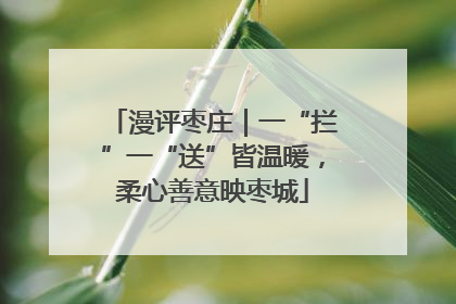 漫评枣庄｜一“拦”一“送”皆温暖，柔心善意映枣城