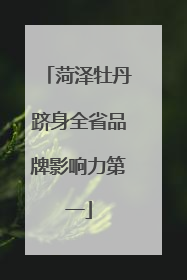 菏泽牡丹跻身全省品牌影响力第一