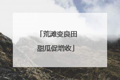 荒滩变良田 甜瓜促增收