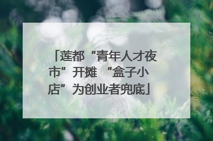 莲都“青年人才夜市”开摊 “盒子小店”为创业者兜底