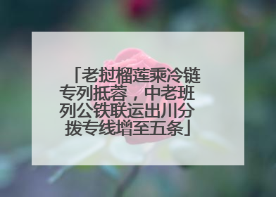 老挝榴莲乘冷链专列抵蓉，中老班列公铁联运出川分拨专线增至五条