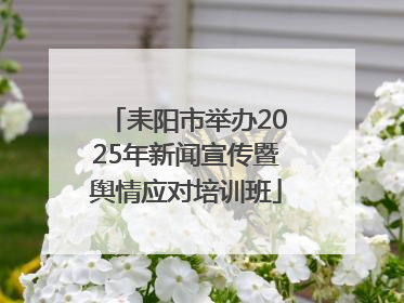 耒阳市举办2025年新闻宣传暨舆情应对培训班