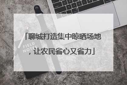 聊城打造集中晾晒场地，让农民省心又省力