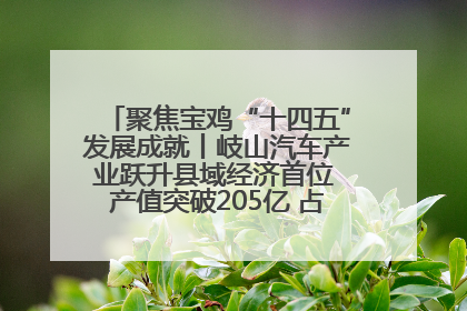 聚焦宝鸡“十四五”发展成就丨岐山汽车产业跃升县域经济首位 产值突破205亿 占规上工业75%
