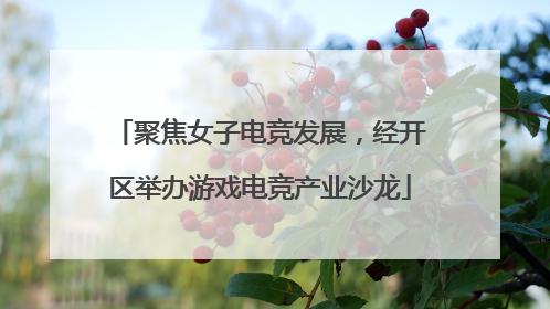 聚焦女子电竞发展，经开区举办游戏电竞产业沙龙