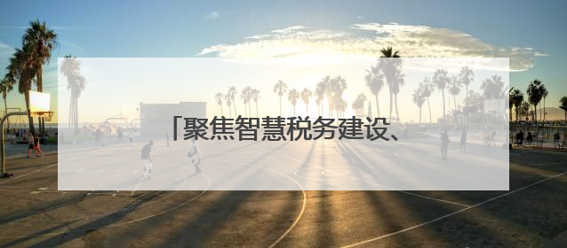 聚焦智慧税务建设、国际税收治理 29名非洲财税官湖南取经