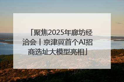 聚焦2025年廊坊经洽会丨京津冀首个AI招商选址大模型亮相