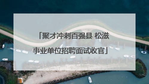 聚才冲刺百强县 松滋事业单位招聘面试收官