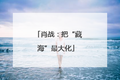 肖战：把“藏海”最大化