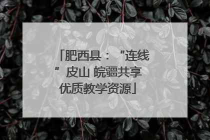 肥西县：“连线”皮山 皖疆共享优质教学资源